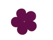 paski damskie cięte klejone marszczone klamry lamówki producent hurt Polska